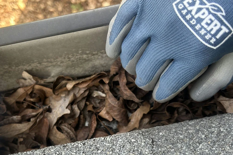 Gutter Cleaning Port Orange FL