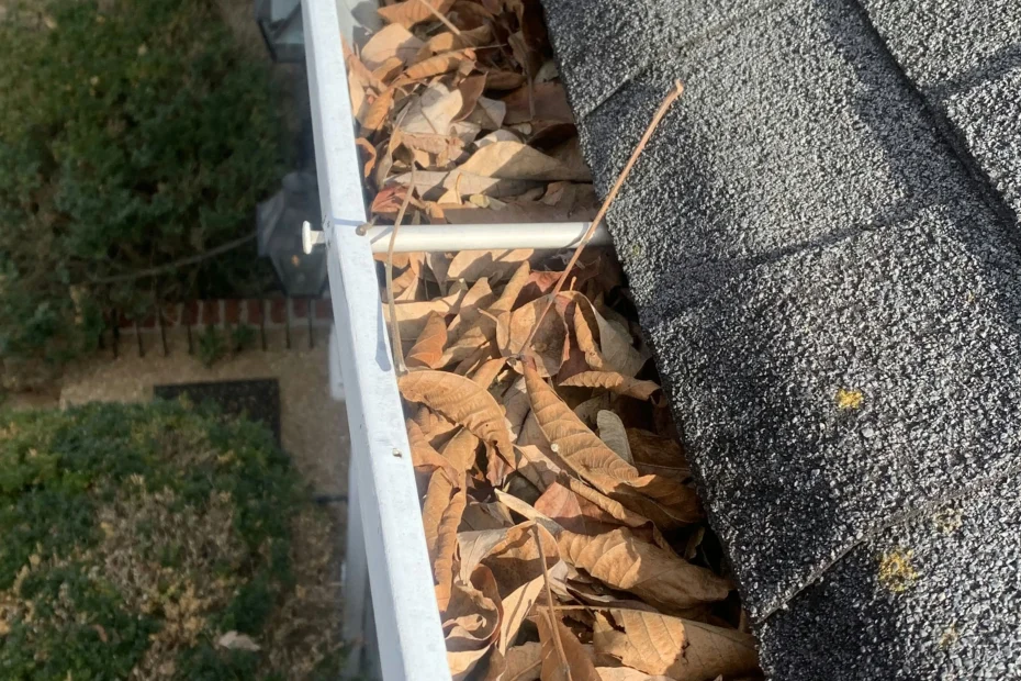 Gutter Cleaning Port Orange FL