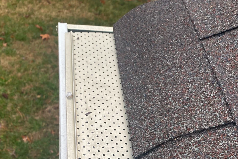 Gutter Cleaning Port Orange FL